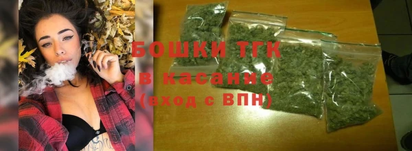 Альфа ПВП Аркадак